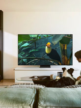 Charger l'image dans la visionneuse de la galerie, TV OLED 65" 4K S95F 2025 Samsung - QE65S95FATXXN